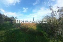 (For Sale) Land Agricultural Land || Zakynthos (Zante)/Artemisio - 16.000 Sq.m, 630.000€