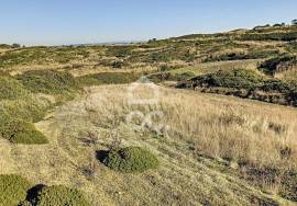 Rustic terrain on atlantic road