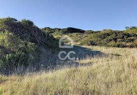 Rustic terrain on atlantic road