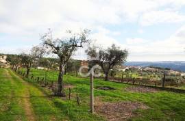 Land with 6070m2