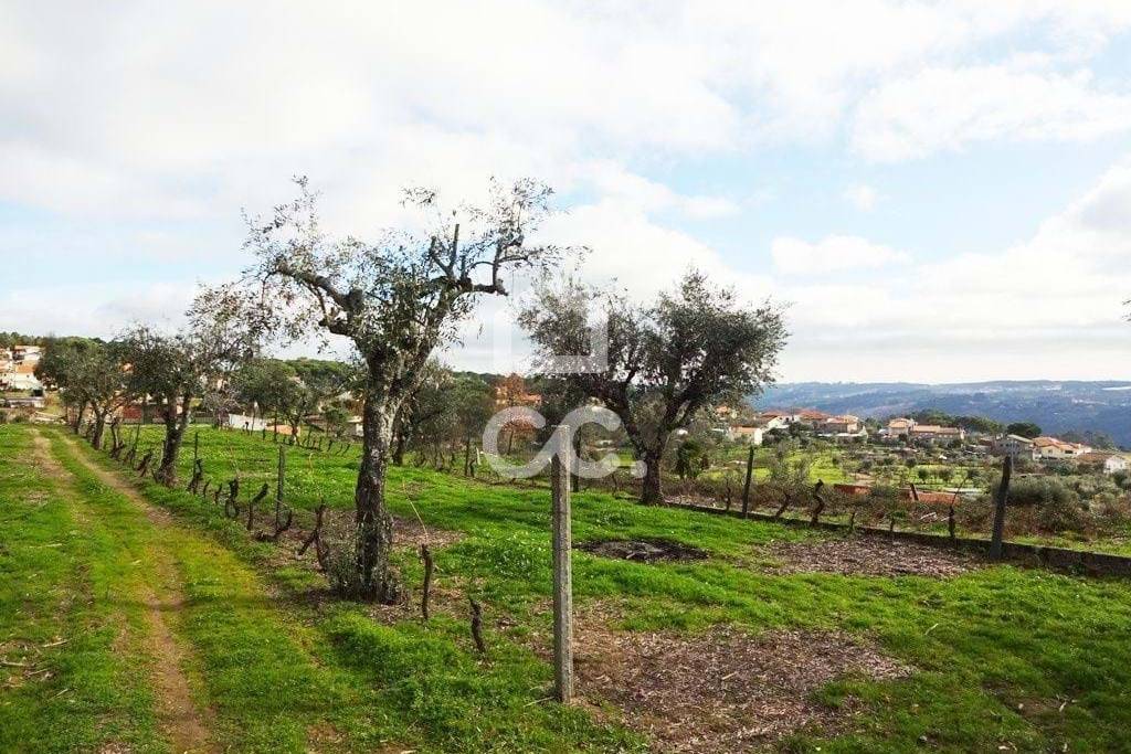 Land with 6070m2