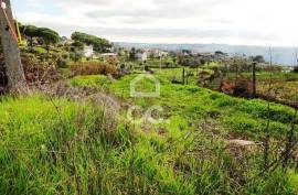 Land with 6070m2