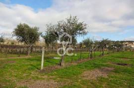 Land with 6070m2