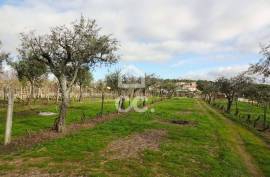 Land with 6070m2