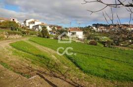 Land with 6070m2