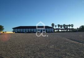 Land Bombarral São Mamede