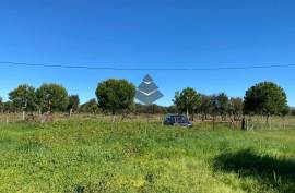 Plot Of Land In Setubal