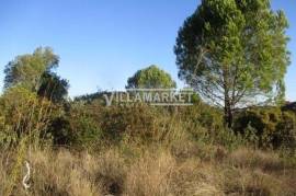 Urban land with 2450 m2 for the construction of 5 villas located near Tomar