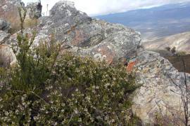 Excellent Plot of land for sale in Uniondale Western Cape South