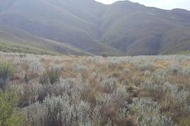 Excellent Plot of land for sale in Uniondale Western Cape South