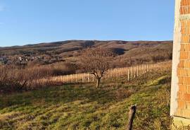 Excellent Plot of land & Vineyard for sale in Mitrovac