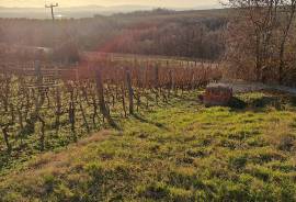 Excellent Plot of land & Vineyard for sale in Mitrovac