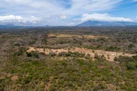 Burdeos Ranch: 1,250 Hectares of Pristine Developmental Land with Landing Strip