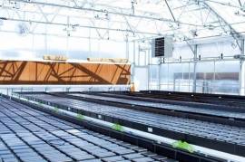 KatchaFire Corp: Thriving Hydroponic Retail and Wholesale Business, with Exclusive Import and Distribution Rights. Approx. $2M in Sales Per Annum!