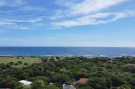 Casa Orquidea: Timeless 6-Bedroom Spanish Colonial in Exclusive Hacienda Pinilla