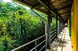 Celeste Mountain Lodge: Mountain Hotel/Resort/Hostel For Sale in Bijagua