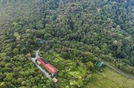 Celeste Mountain Lodge: Mountain Hotel/Resort/Hostel For Sale in Bijagua