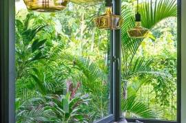 Casa Salomon: Two Stunning Houses and Expandable Land with Four Water Connections