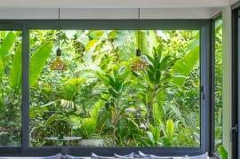 Casa Salomon: Two Stunning Houses and Expandable Land with Four Water Connections