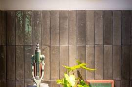Casa Salomon: Two Stunning Houses and Expandable Land with Four Water Connections