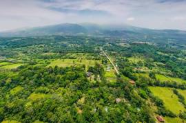 Casitas Tenorio B&B: Turnkey Eco-Lodge in Bijagua: Profitable Business, Sustainable Luxury, and Breathtaking Nature