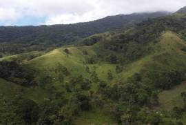 Rio Naranjo Farm: Exceptional 18-hectare property for sale, 20 mins. from Rio Celeste Waterfall.