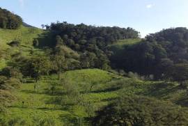 El Lechero Farm: 4.3-hectare property located in Bijagua de Upala.