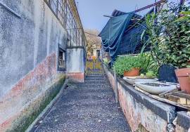 Traditional Madeiran Farm