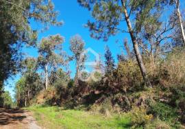 Land Lousada Ordem
