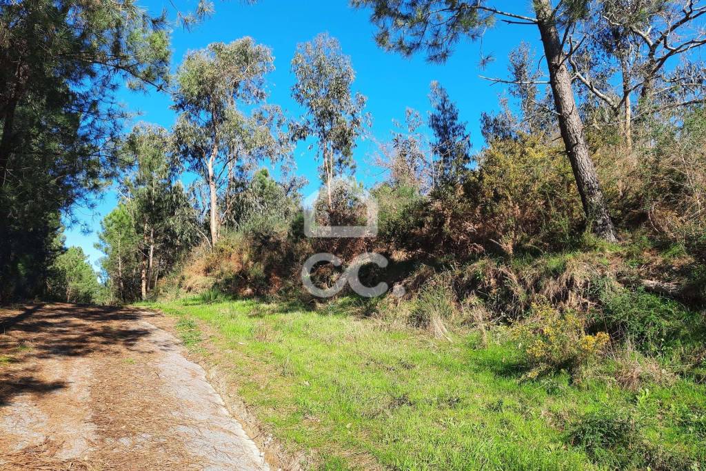Land Lousada Ordem