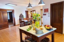 Beautiful 4 + 1 Villa with Swimming Pool and large plot near São Bras de Alportel