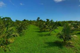 Excellent Plots of land for sale in Port Vila