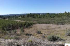 Land with 2.8ha 5 minutes from Castelo Branco