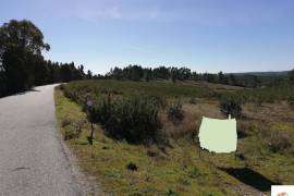Land with 2.8ha 5 minutes from Castelo Branco
