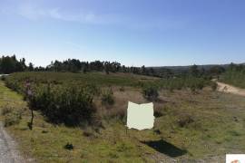 Land with 2.8ha 5 minutes from Castelo Branco