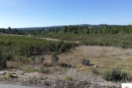 Land with 2.8ha 5 minutes from Castelo Branco