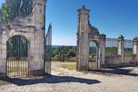 Chateau and Vineyard - Historic Chartreuse
