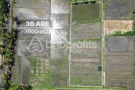 Seaside Dreams Unleashed: Exclusive Leasehold Land in Pangkung Tibah – Kedungu Awaits Your Vision