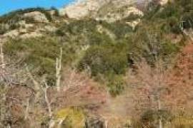 Patagonia: Propiedad en el camino al Río Ibáñez