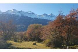 Patagonia: Propiedad en el camino al Río Ibáñez