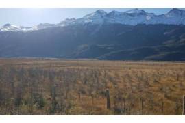 Patagonien: GrundstÃ¼ck an der StraÃe zum Rio IbaÃ±ez