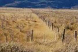 Patagonia: Propiedad en el camino al Río Ibáñez