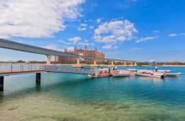 Luxury 3 Bed Apartment For Sale in Palm Beach Tower 2