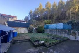 Detached Town House with City Garden