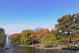 Upscale 3-room penthouse directly at Volkspark Friedrichshain