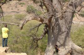 Excellent Plots of land for sale in Praia Baixo Cape Verde