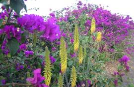Excellent Plots of land for sale in Praia Baixo Cape Verde