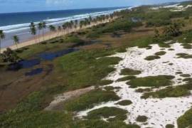 Desarrollo costero en Bahía: un resort de lujo con alta rentabilidad