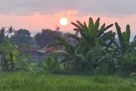 Luxury 2 Bed Hope Springs Villa For Sale in Subagan Bali