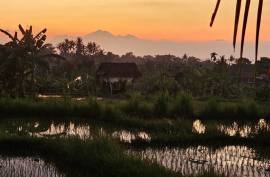 Luxury 2 Bed Hope Springs Villa For Sale in Subagan Bali